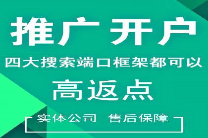 SEM推广公司成功案例：助力企业实现品牌多元化发展